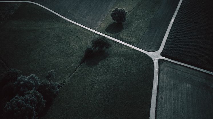 Foto: Oliver Roos