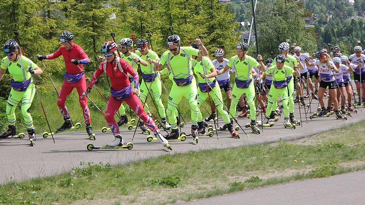 Se skiskyting i sommer!
