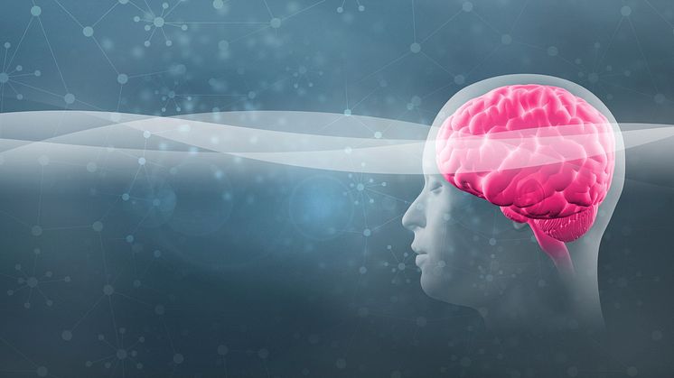 Neuromarketing II: Softdrinks und Autos im Gehirn-Scanner 