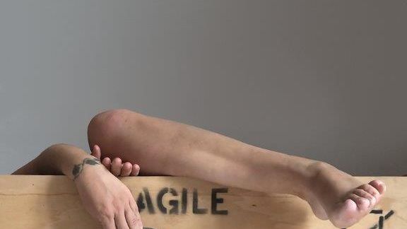 Rosy Rox - Agile