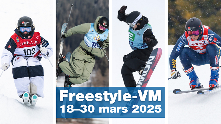 I freestyle-VM ingår puckel, freeski, snowboard och skicross. Foto: Bildbyrån.