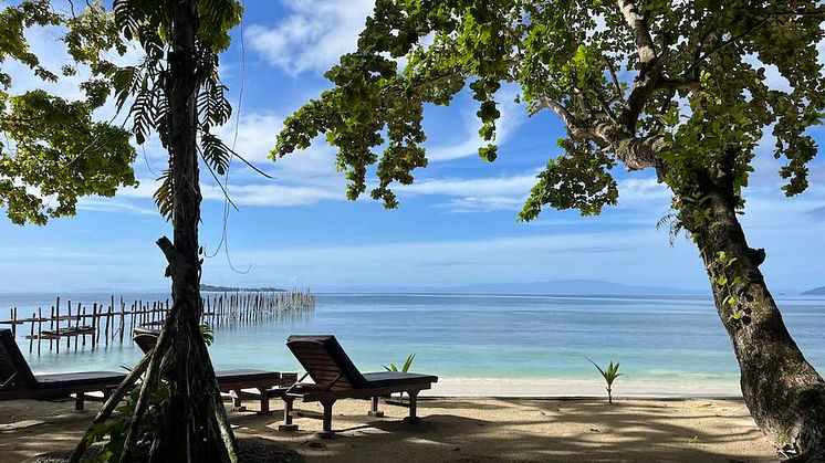paradiset.jpg