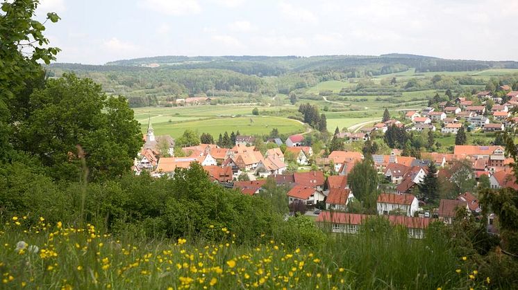 Blick auf Gomadingen
