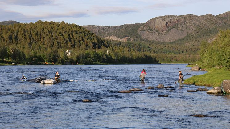 Jenny Jensen fra Akvaplan-niva i Altafjordsystemet sammen med kollegaer (Foto: Akvaplan-niva)