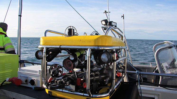 Saneringen av miljöfarliga vrak inleds: Nu töms fiskefartyget Thetis på olja