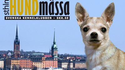 Stockholm Hundmässa 2012