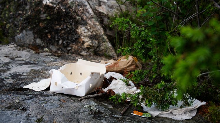 Elva stora Västerås-aktörer anordnar skräpplockardag för andra året i rad
