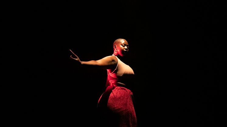 Company Nicolas Huchard - The barefoot diva