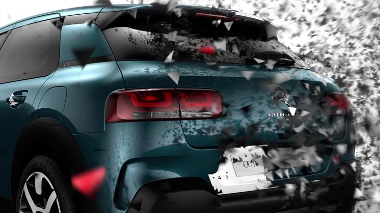Nya C4 Cactus