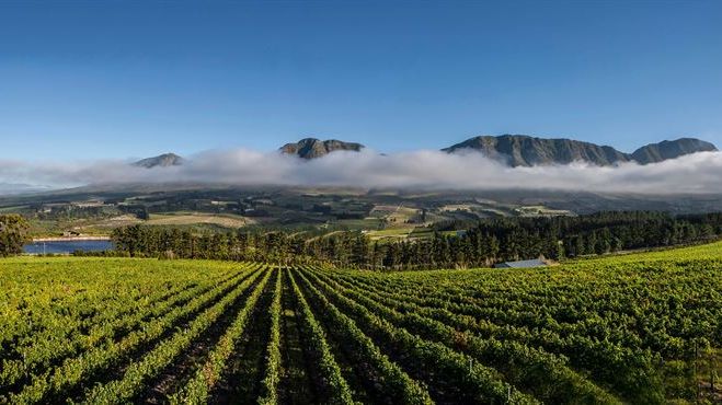 Newton Johnson Walker Bay Pinot Noir 2018 - återlanseras 23:e mars