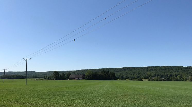 Debattartikel: Kapacitetsbristen i Skåne måste lösas snabbt, läget är akut