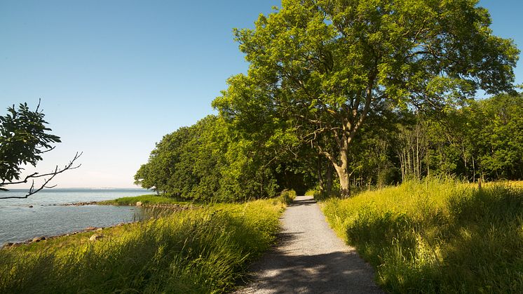 Utstikt fra Jeløya