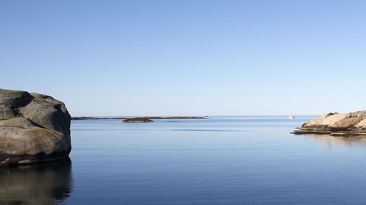 Orkla Foods Sverige prisas för långsiktighet