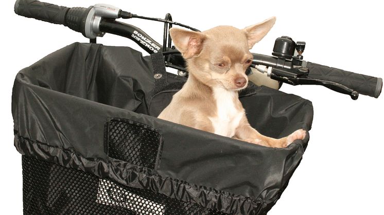 Regnskydd till cykelkorg, Bike sm Art - monterad med hund