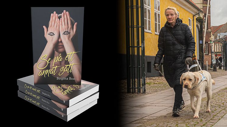 Se på ett annat sätt är en dokumentärbiografi skriven av Birgitta Boo.