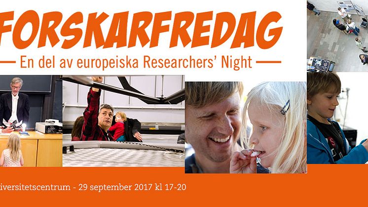 ForskarFredag by night