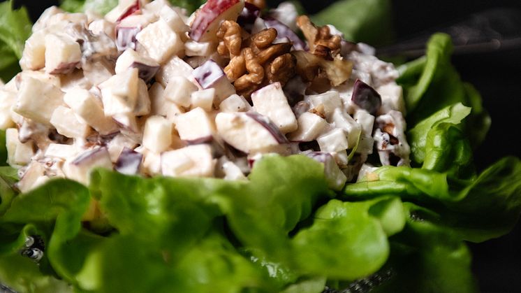 majabrand_sasongensbasta_sallad-1.jpg