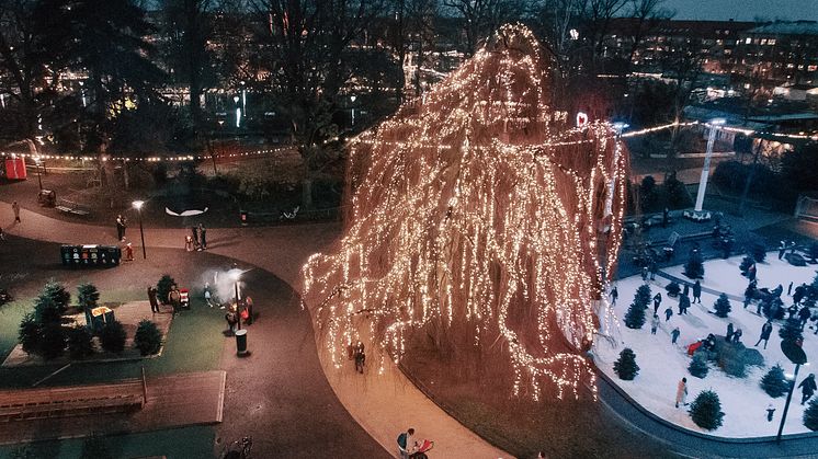 Vinterdröm i Folkets Park