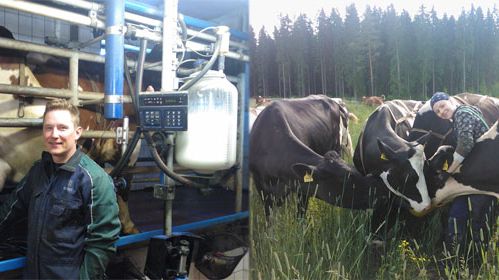 Hausjärveläisellä Rantalan tilalla otetaan ympäristö huomioon