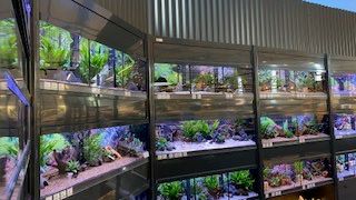 Aquaristik_2