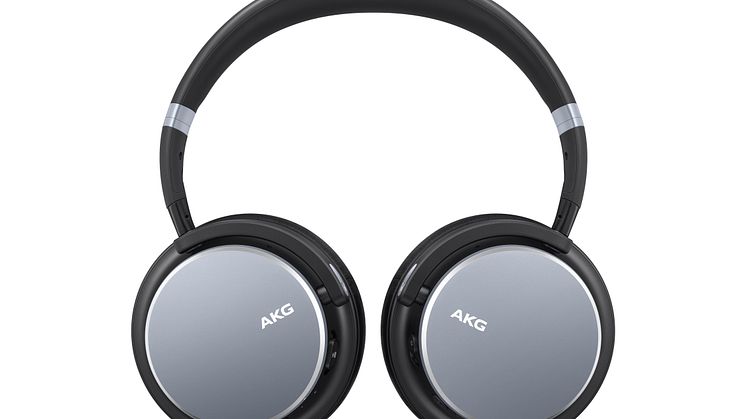 AKG Y600_Dynamic_Silver