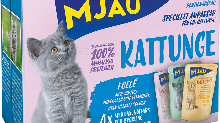 Mjau Kattunge multibox