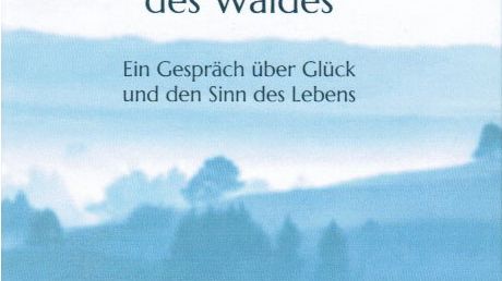 Die Bank am Rande des Waldes