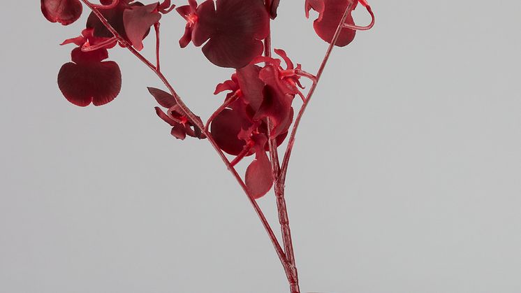 Kunstblume_RAGNAR_Mood.tif
