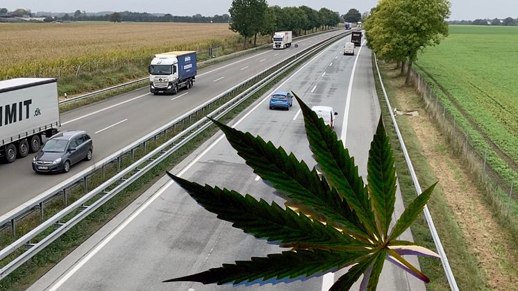 Legalisierung von Cannabis: Verkehrssicherheit hat oberste Priorität