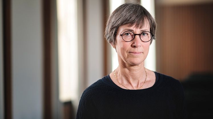 Cecilia Franzén Malmö universitet 20