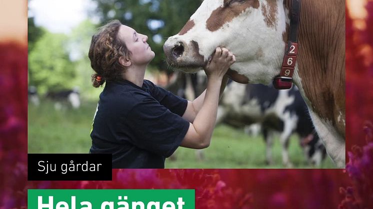 De nominerade till Årets klimatbonde 2021
