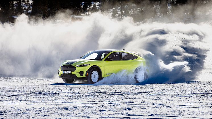 2024 Mustang Mach-E Rally Gol (3).jpg
