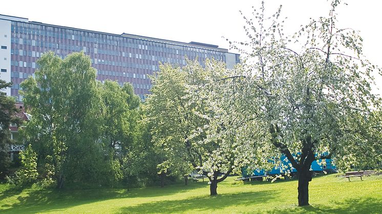 Beröm till Danderyds sjukhus för sitt goda miljöarbete