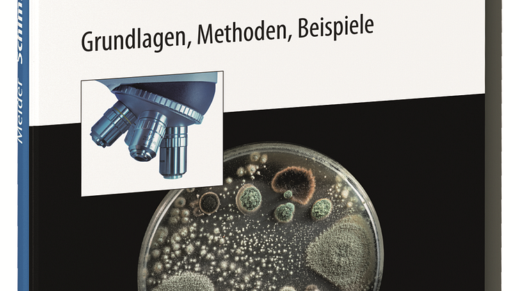 Schimmelpilzanalytik (3D tif)