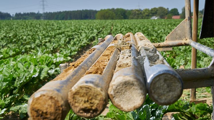 Die Vorbereitung für die neue Kabelleitung zum Anschluss des Umspannwerks Bachl werden konkret: Ab Montag werden Bodenproben genommen und Flächen vermessen. Die Arbeiten werden voraussichtlich etwa sechs Wochen dauern.