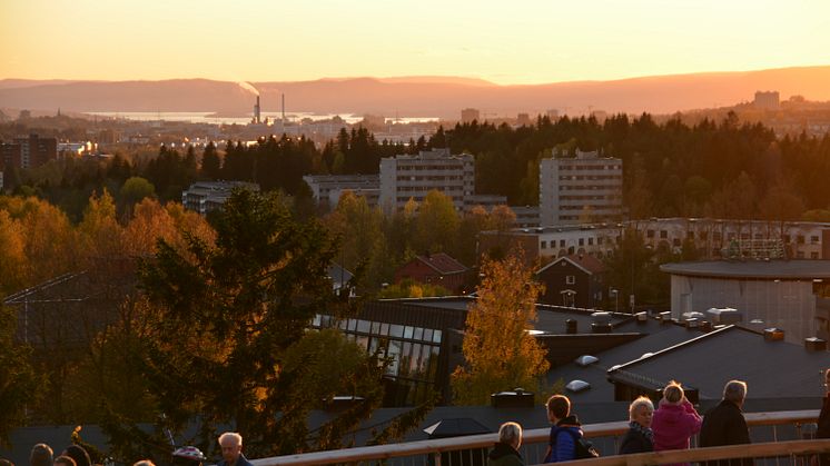 (Foto: Finn Skogstad)
