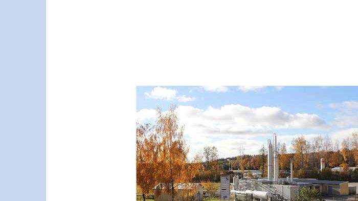 SVU-rapport 2013-19: Biogas från VA – prissättning och hantering av affärsrisker (Management)