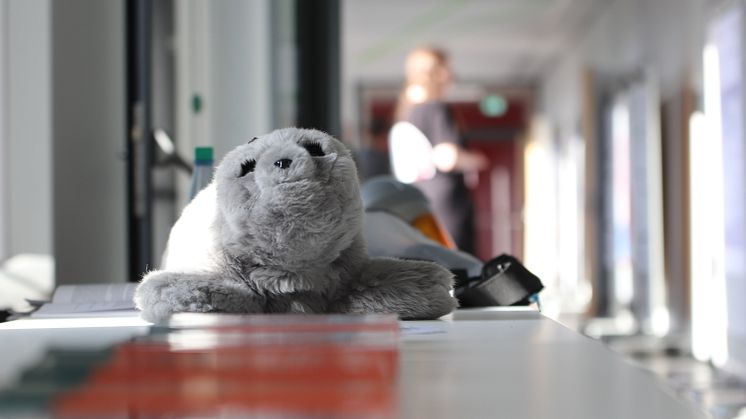 „(Dis)Kontinuität im Alter“ | Gerontologietagung an der Universität Vechta zeigt gesellschaftliche Herausforderungen auf