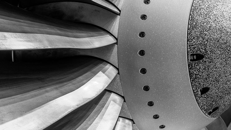 Engine fan blade of a 737-800 aircraft