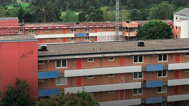 Titelbild artikel klimatprojekt