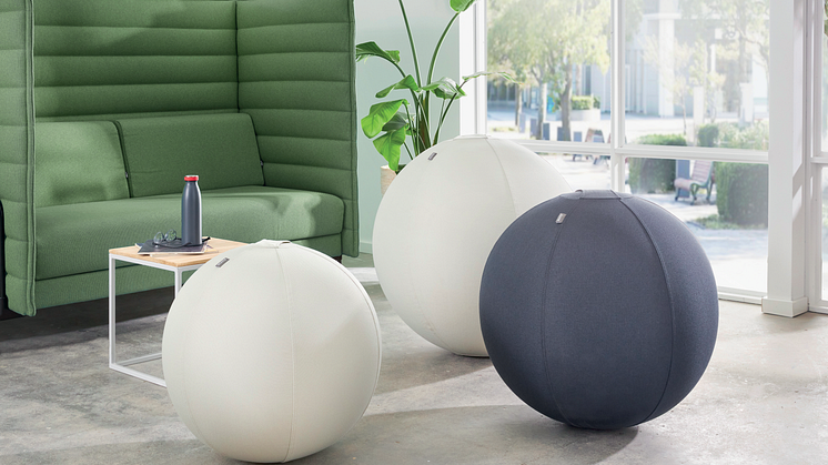 Leitz Ergo sitteballer