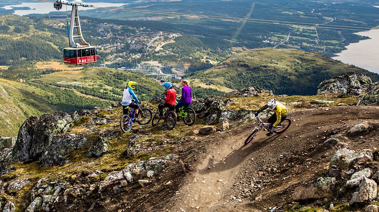 Cykling i Åre Bike Park