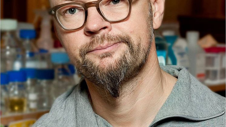 Håkan Hedman.jpg