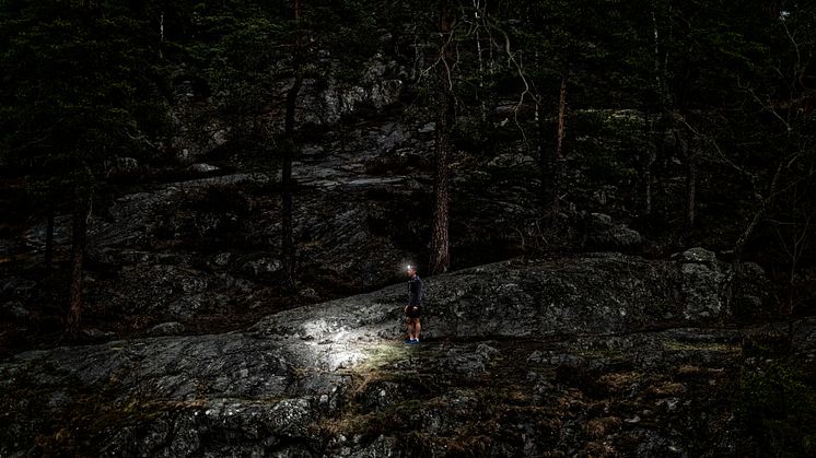 Silva har numera en direkt försäljningskanal och kundservice för marknaderna i Tyskland och Österrike.