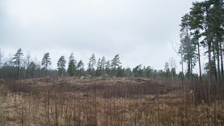 Första spadtaget för Lyra, Örebro kommuns nya vattenreservoar! 