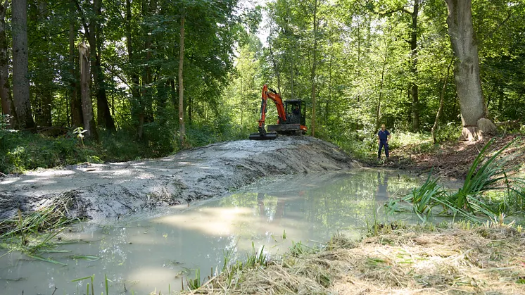 Reaktivierung einer Karstquelle an der Donau bei Gundelfingen