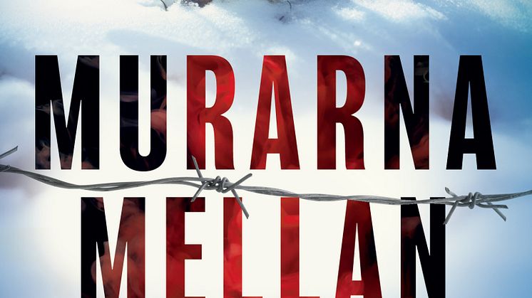 Murarna mellan oss.jpg