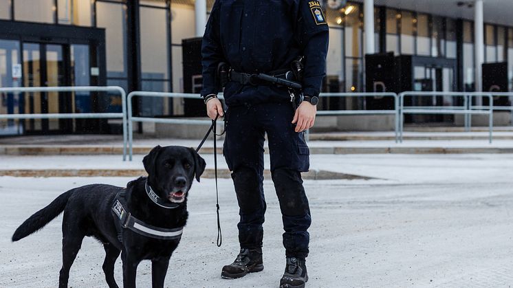 ErikFurmark och Loki stående bild Foto_Lisa Björk