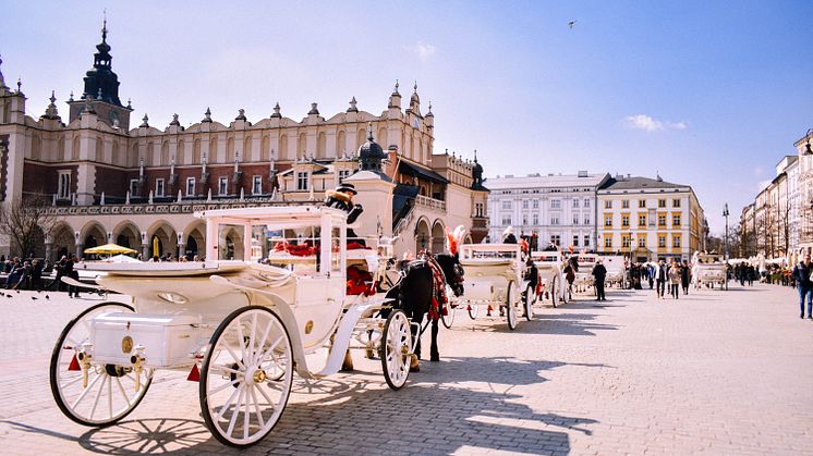 Radonkonferens Krakow
