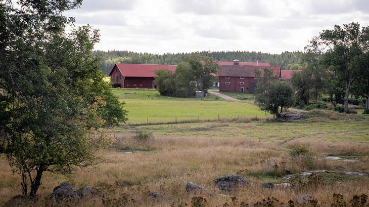 Värmland toppar KRAVs hållbarhetsrankning för mark
